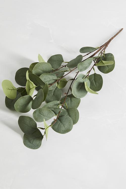 Eucalyptus Branch - Green