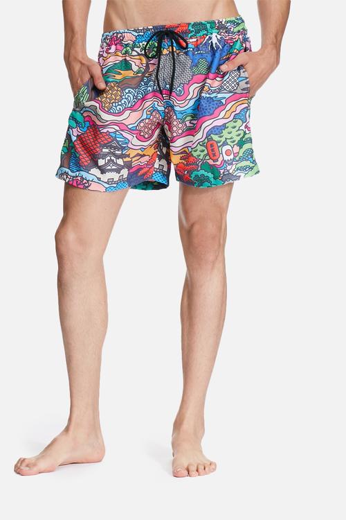 Surf's up swim shorts