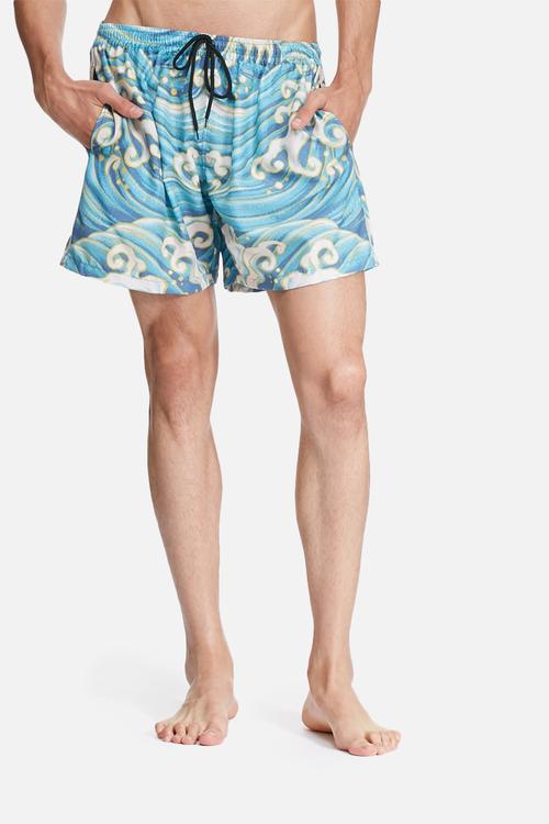 Surf's up swim shorts