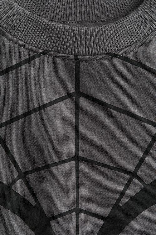 Printed sweatshirt - dark grey/spider-man 