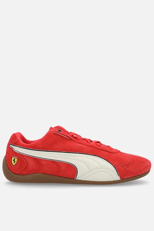Ferrari Speedcat