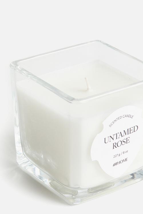 Scented candle in glass holder - untamed ros
