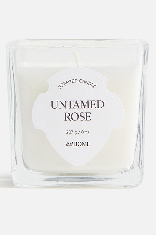 Scented candle in glass holder - untamed ros