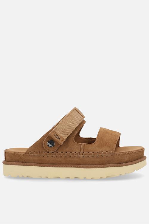 Goldenstar glide - chestnut