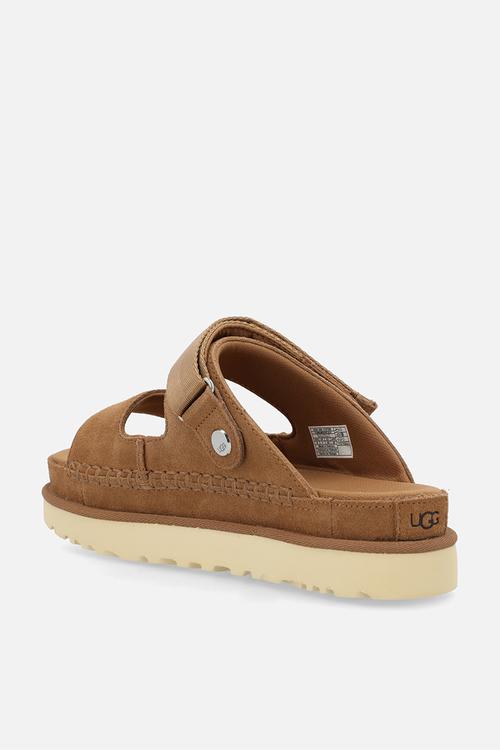 Goldenstar glide - chestnut