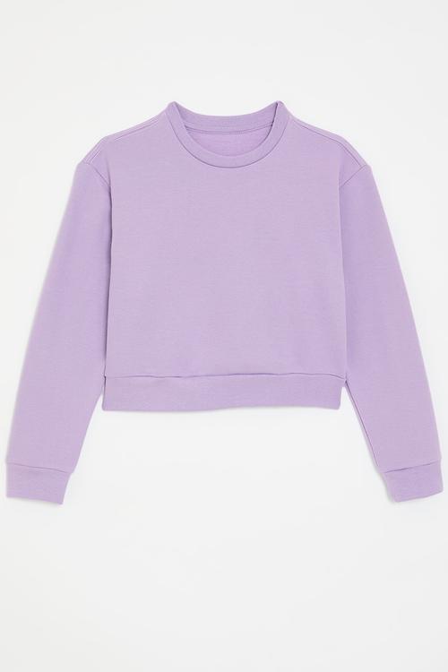 Cropped sweatshirt - pale purple