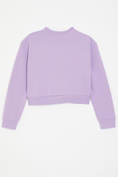 Cropped sweatshirt - pale purple