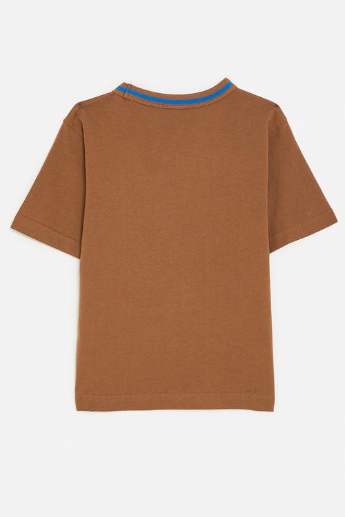 Jonny Short Sleeve Graphic Print Tee - chestnut/whistle