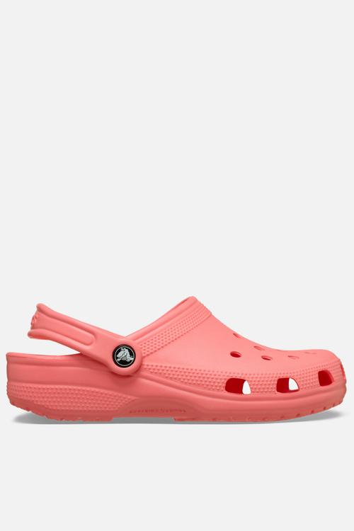 Classic clog -Guava