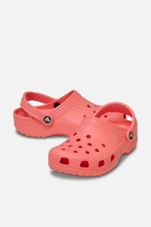 Classic clog -Guava