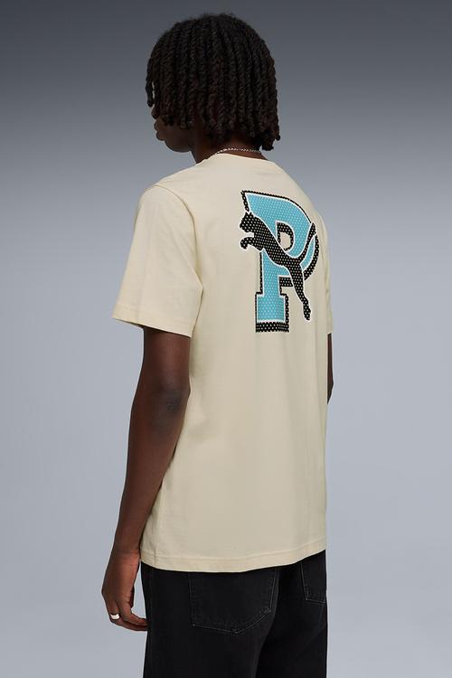 GRAPHIC Varsity Tee M - Alpine Snow