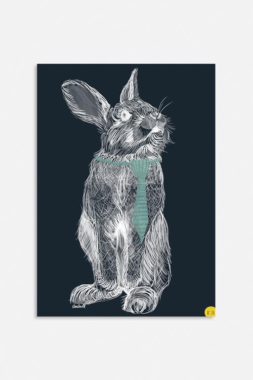 Fancy rabbit