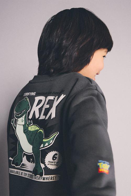 Sweatshirt TOYDINO - Charcoal
