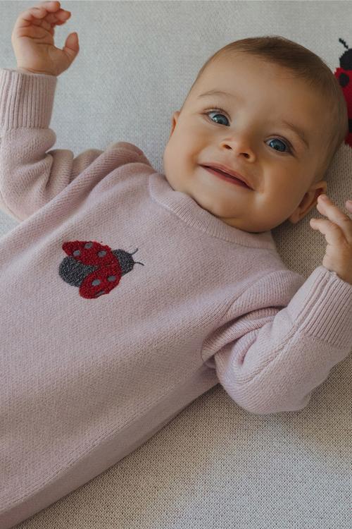Organic Knit Long Sleeve All In One - Thistle/Lady Bug