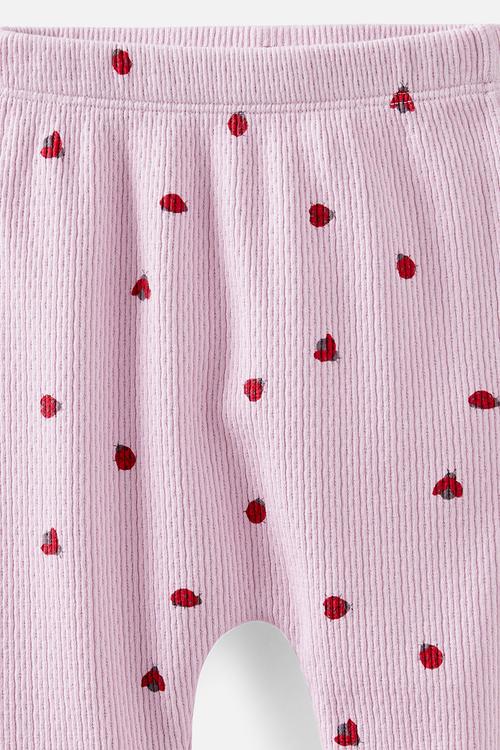 Organic Pointelle Footed Legging - Thistle/Lady Bugs