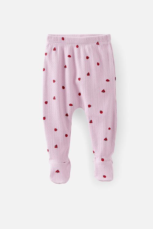 Organic Pointelle Footed Legging - Thistle/Lady Bugs