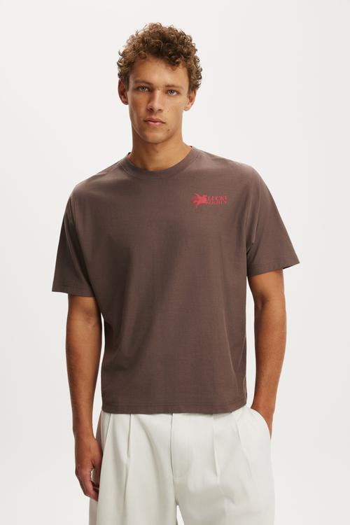 Cropped Fit Graphic T-shirt - Washed Chocolate/Monument