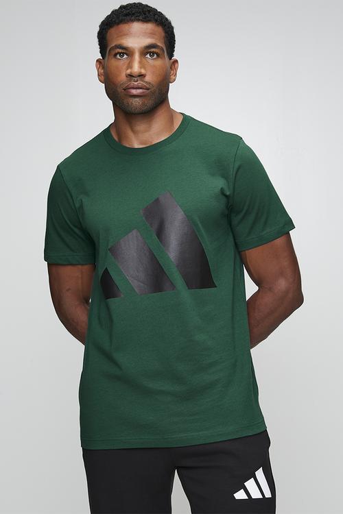 Big Logo SJ Tee - Collegiate Green / black