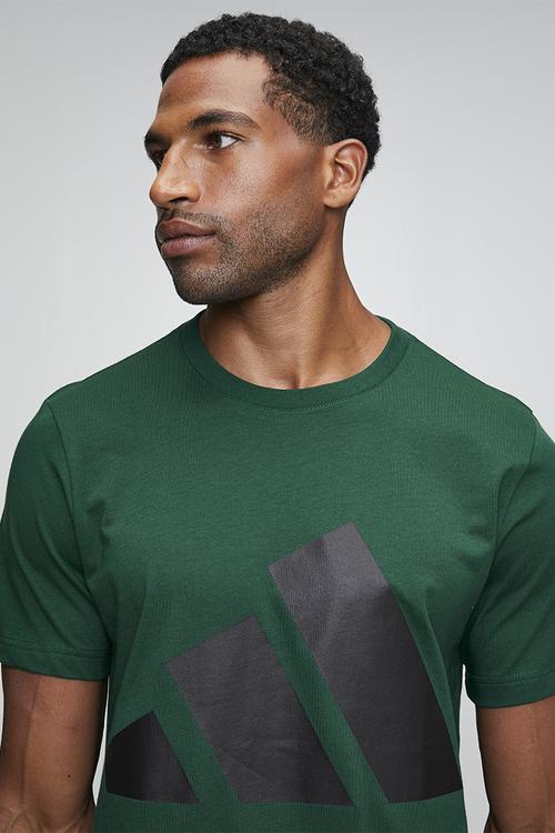 Big Logo SJ Tee - Collegiate Green / black