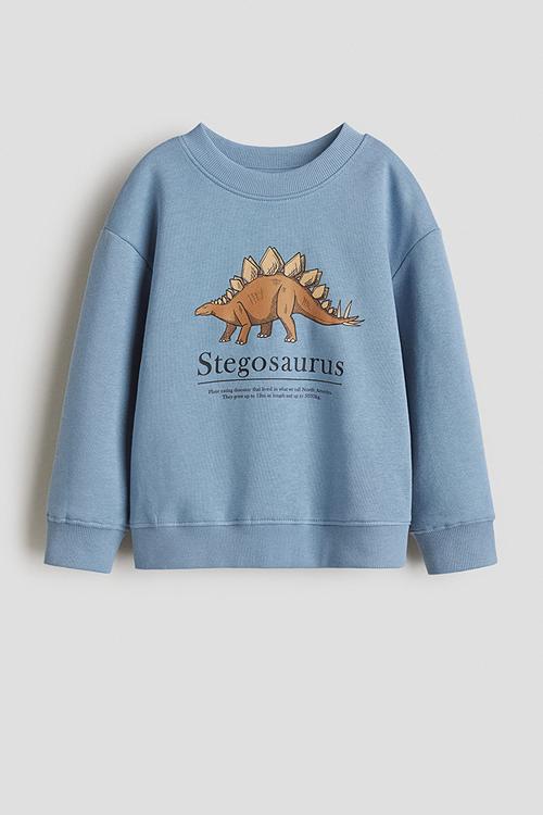 Sweatshirt - blue stegosaurus