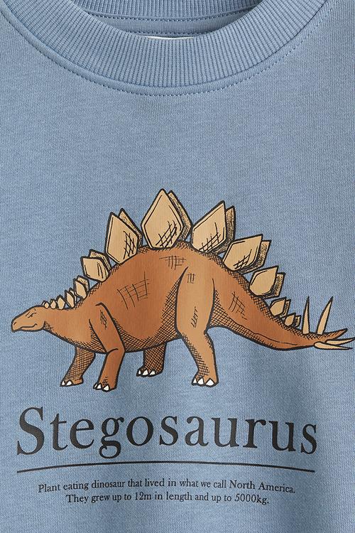 Sweatshirt - blue stegosaurus