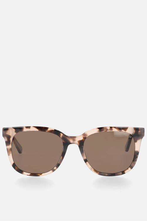 Cali Polarized Sunglasses 52mm - Havana