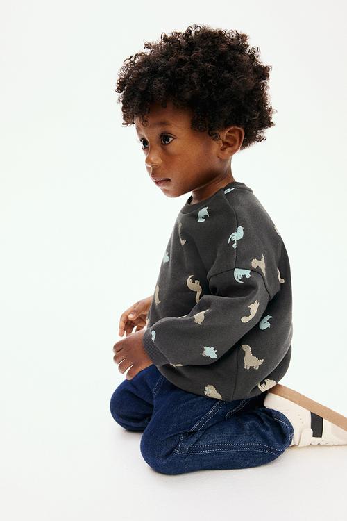 Printed sweatshirt - dark grey/dinosaurs