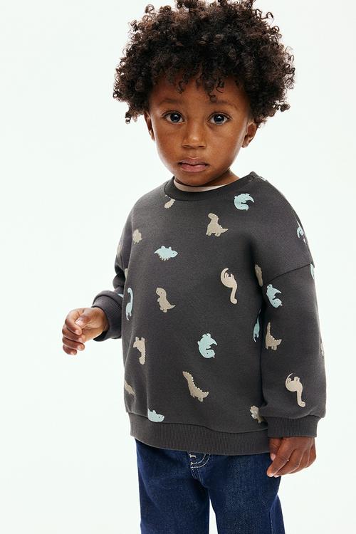 Printed sweatshirt - dark grey/dinosaurs