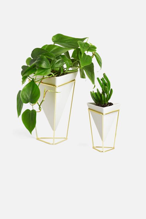 Trigg desk vessel set of 2