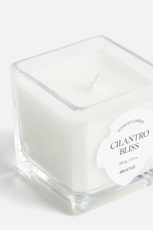 Small scented candle in glass holder - cilantro bliss
