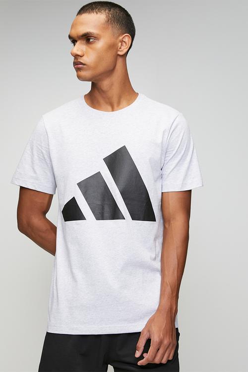 Big Logo SJ Tee - Light Grey heather / carbon