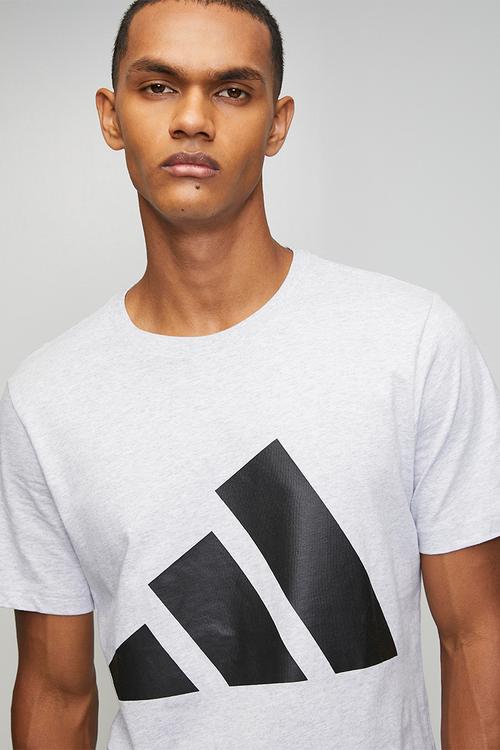 Big Logo SJ Tee - Light Grey heather / carbon