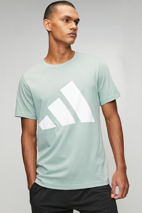 Big Logo SJ Tee  - Wonder Sage Green / White