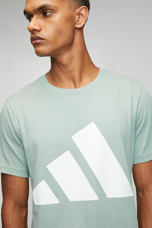Big Logo SJ Tee  - Wonder Sage Green / White