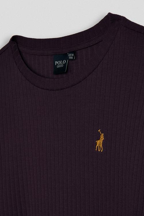 Casey rib long sleeve  dress - plum