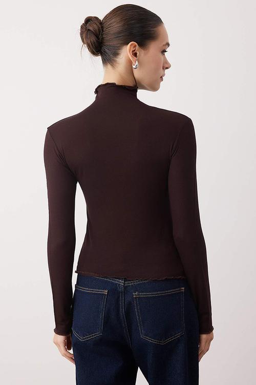 Transparent High Neck Flexible Regular Length Knitted Blouse - Brown