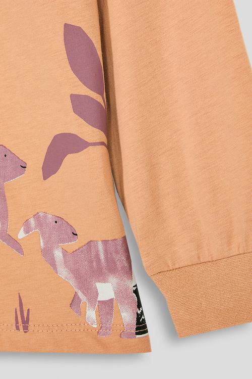Collage-style dino graphic long sleeve tee - pastel orange