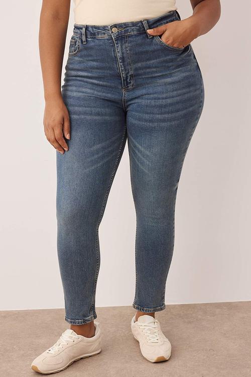High Waist Stretchy Plus Size Skinny Jeans - Blue