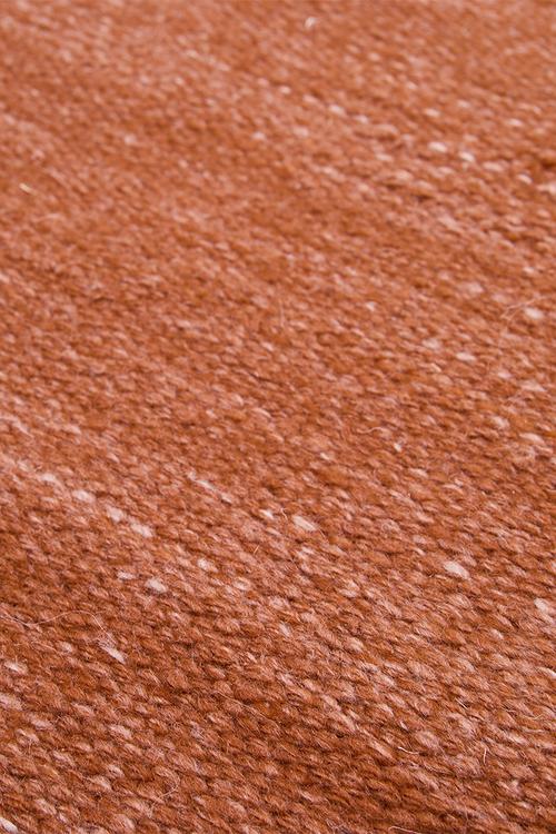Capri Outdoor/Indoor Rug - Rust