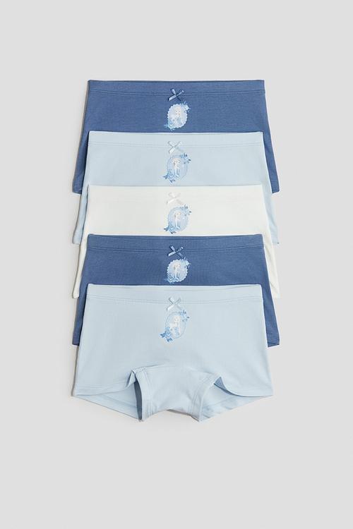 5-Pack cotton boxer briefs - blue/frozen