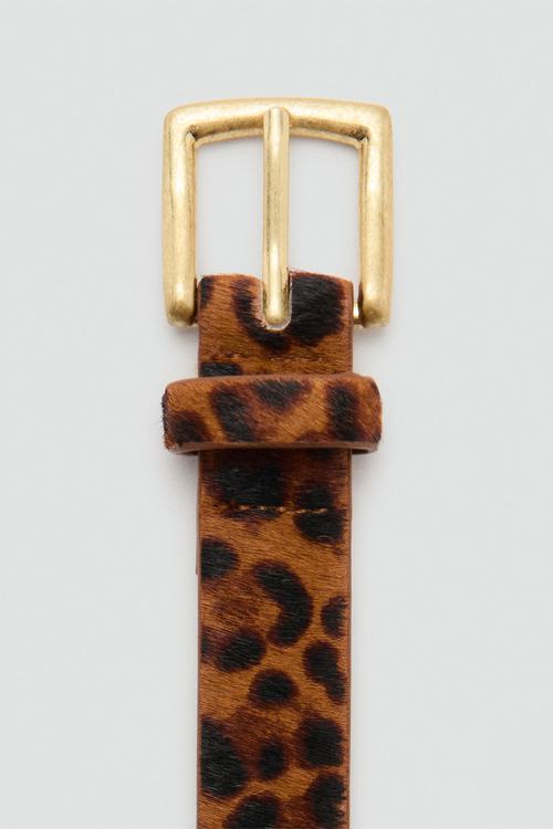 Belt Leon - Brown
