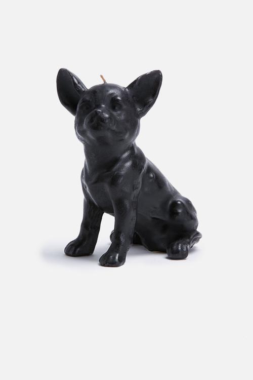 Chihuahua candle