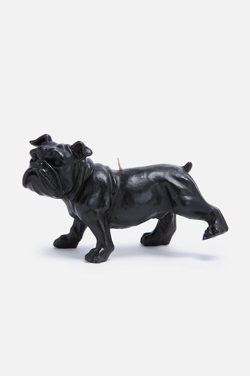 Bull dog candle
