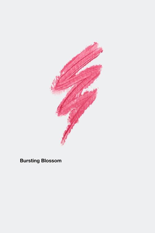 Chubby Stick Moisturizing Lip Color Balm - Bursting Blossom