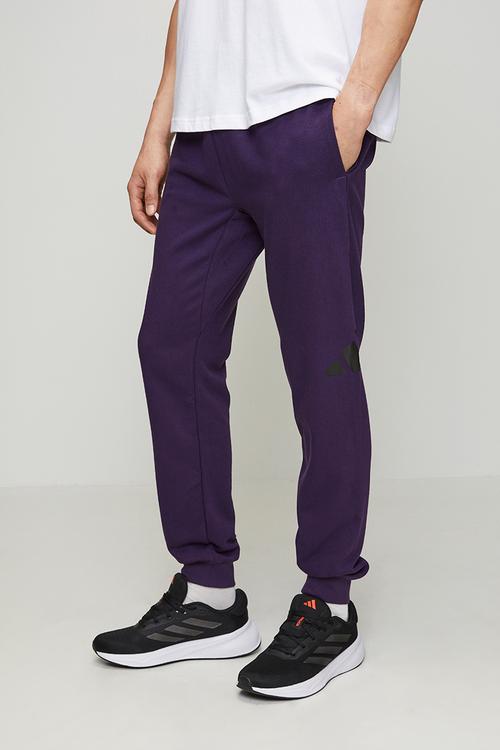 Big Logo  FT Pant - Purple/Blue