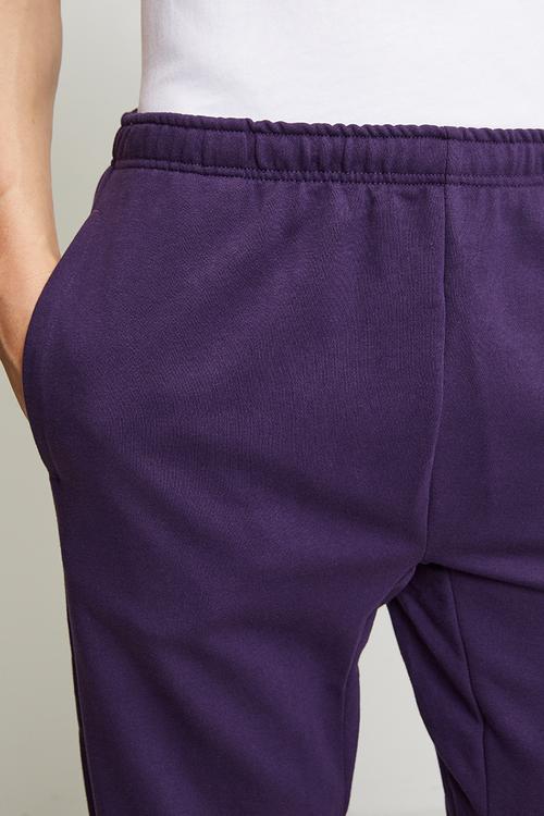 Big Logo  FT Pant - Purple/Blue