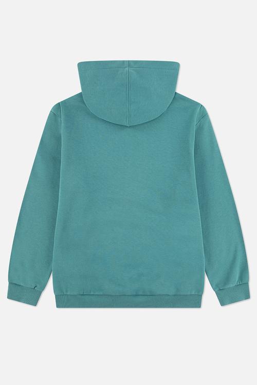 Cnvb Bleacher Athletic Po Hoodie - Lizard Breath