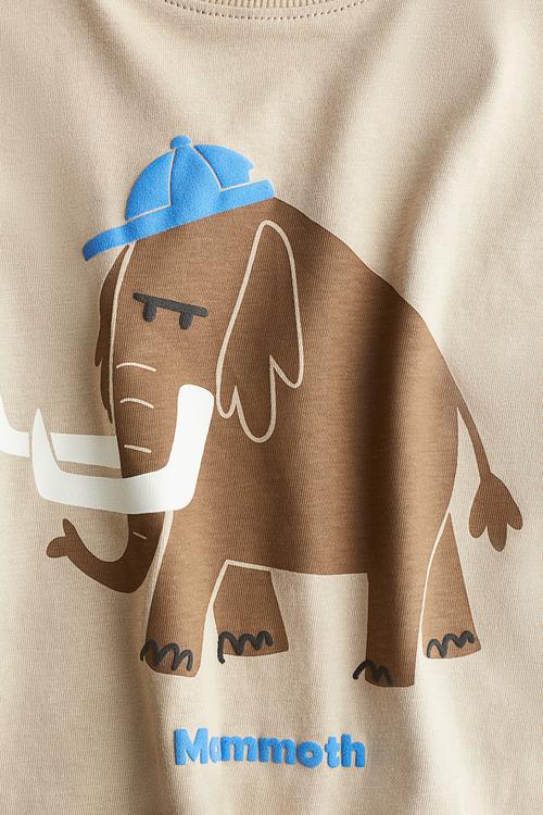 Loose-fit printed t-shirt - beige/mammoth
