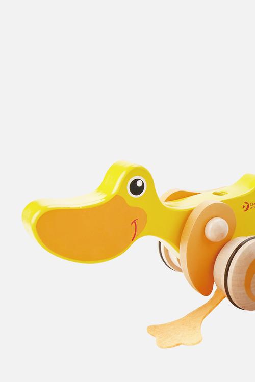 Pull & Push Toy - Duck