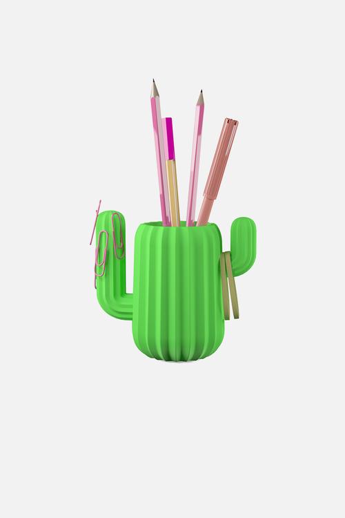 Cactus desktop organiser